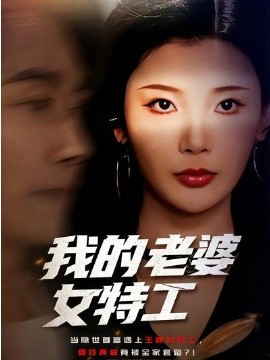 我的老婆女特工海报