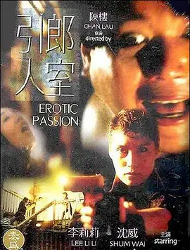 引郎入室1993[电影解说]海报