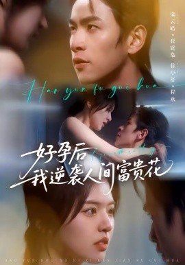 好孕后我逆袭人间富贵花海报