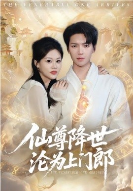 仙尊降世沦为上门郎海报