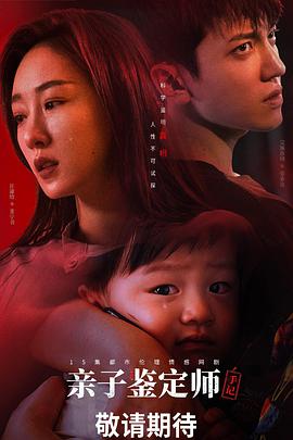 亲子鉴定师手记海报