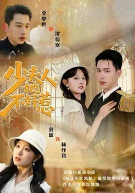 少夫人她不好惹海报
