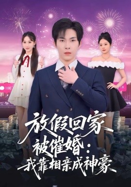 放假回家被催婚：我靠相亲成神豪海报