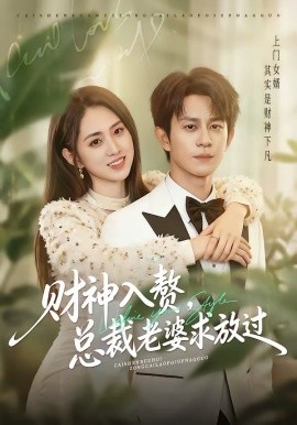 财神入赘，总裁老婆求放过海报
