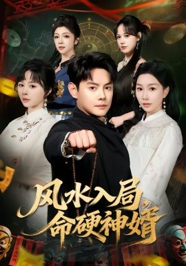 风水入局，命硬神婿海报