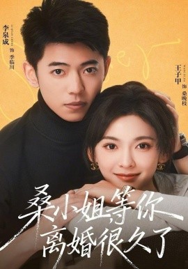 桑小姐，等你离婚很久了海报