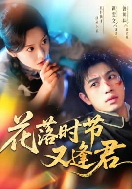 花落时节又逢君海报