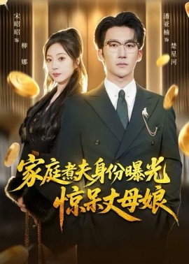 家庭煮夫身份曝光惊呆丈母娘海报