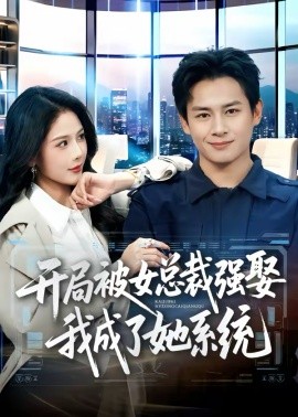 开局被女总裁强娶我成了她系统海报