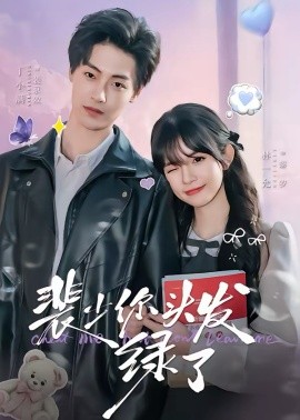 裴少你头发绿了海报