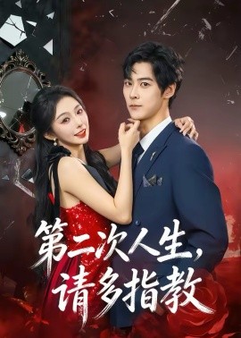第二次人生，请多指教海报
