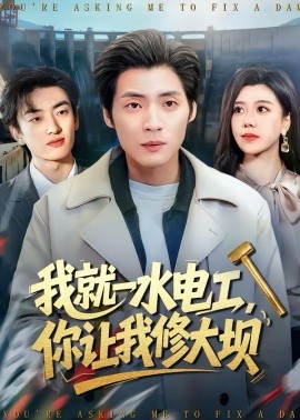 我就一水电工，你让我修大坝海报