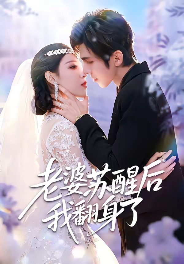 老婆苏醒后我翻身了海报