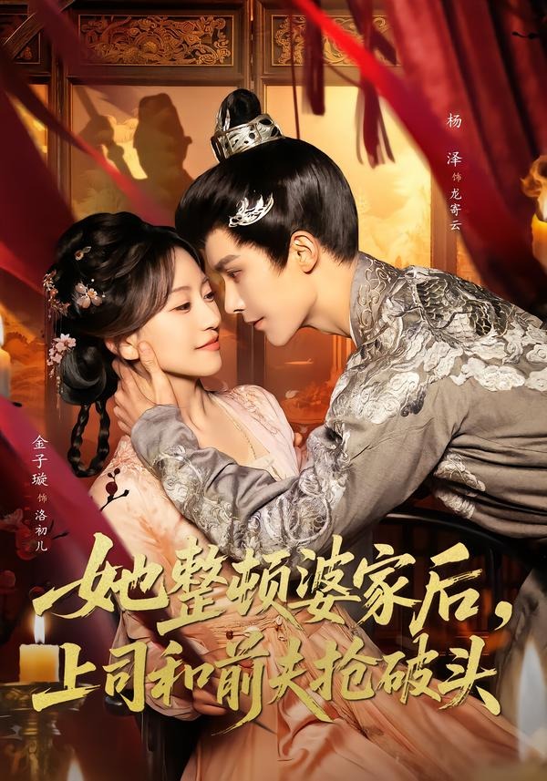 她整顿婆家后，上司和前夫抢破头海报