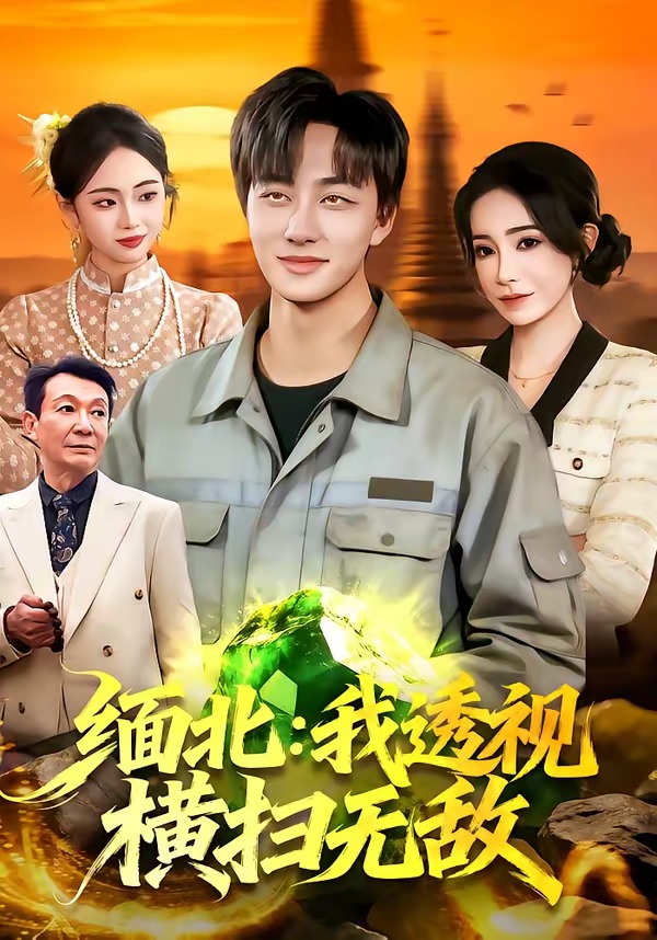 缅北：我透视横扫无敌海报