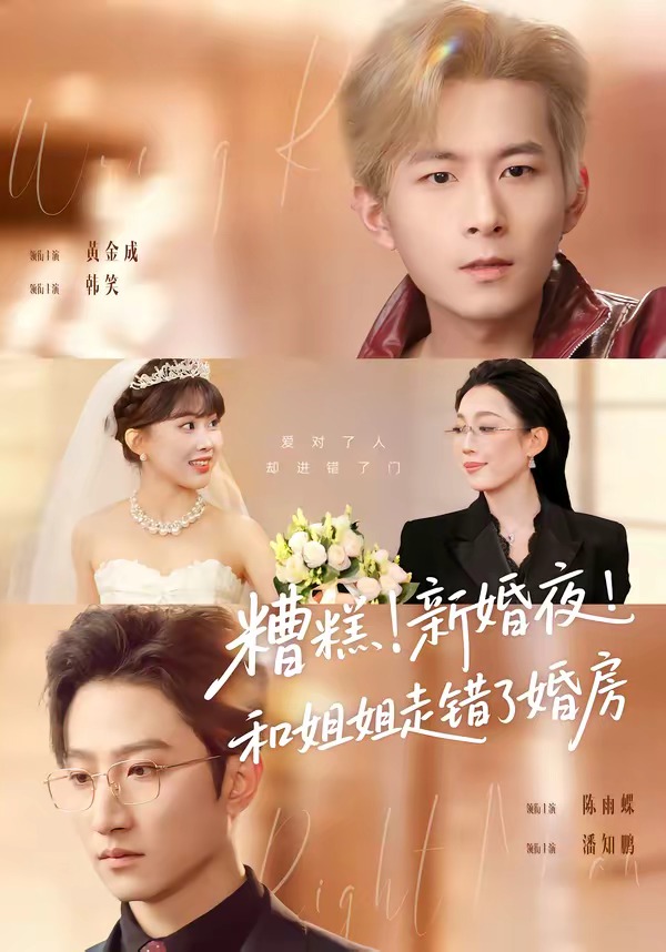 糟糕！新婚夜！和姐姐走错了婚房海报