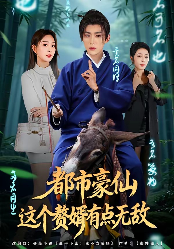 都市豪仙，这个赘婿有点无敌海报