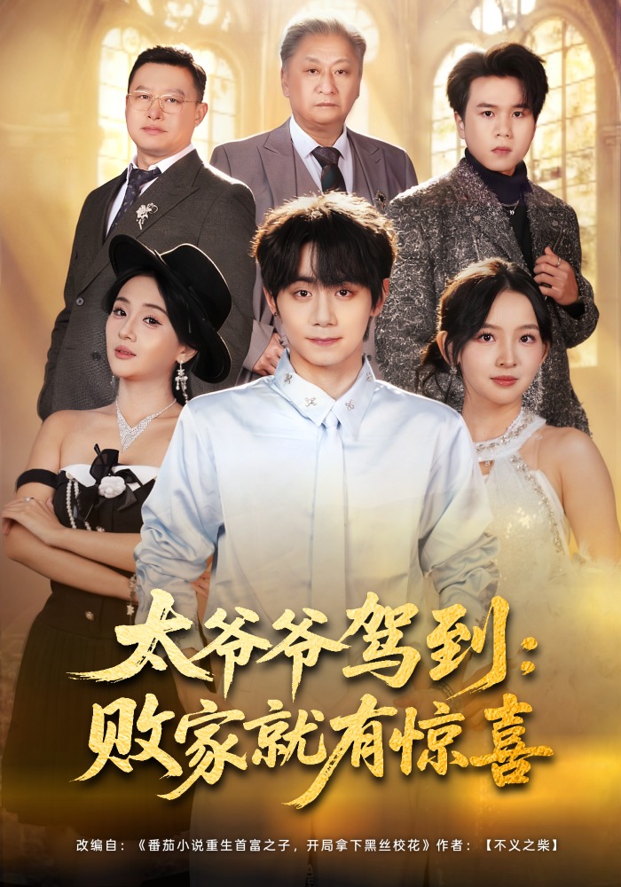 太爷爷驾到：败家就有惊喜海报