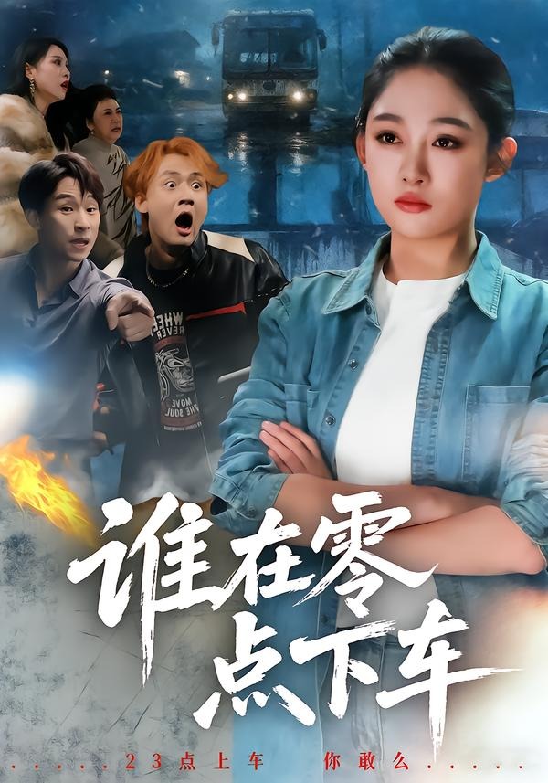 谁在零点下车海报