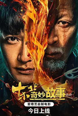 东北奇妙故事海报