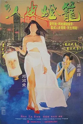 人皮灯笼1993[电影解说]海报