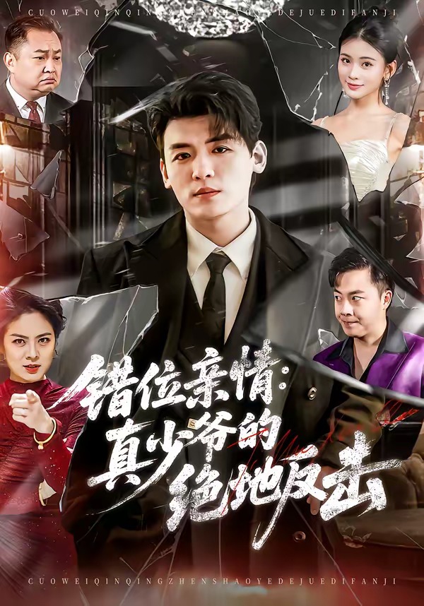 错位亲情：真少爷的绝地反击海报