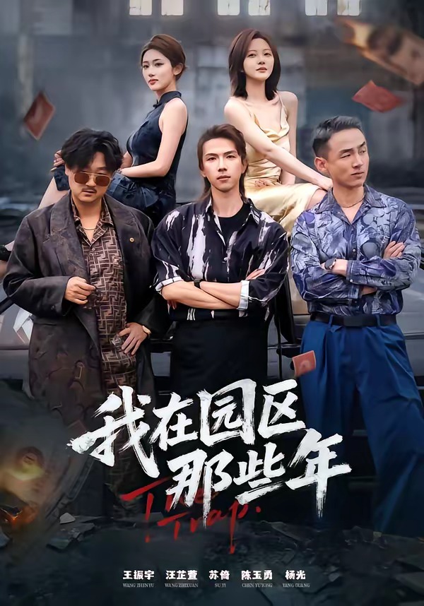 我在园区那些年海报