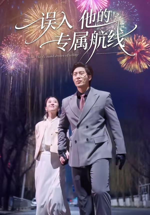 误入他的专属航线海报