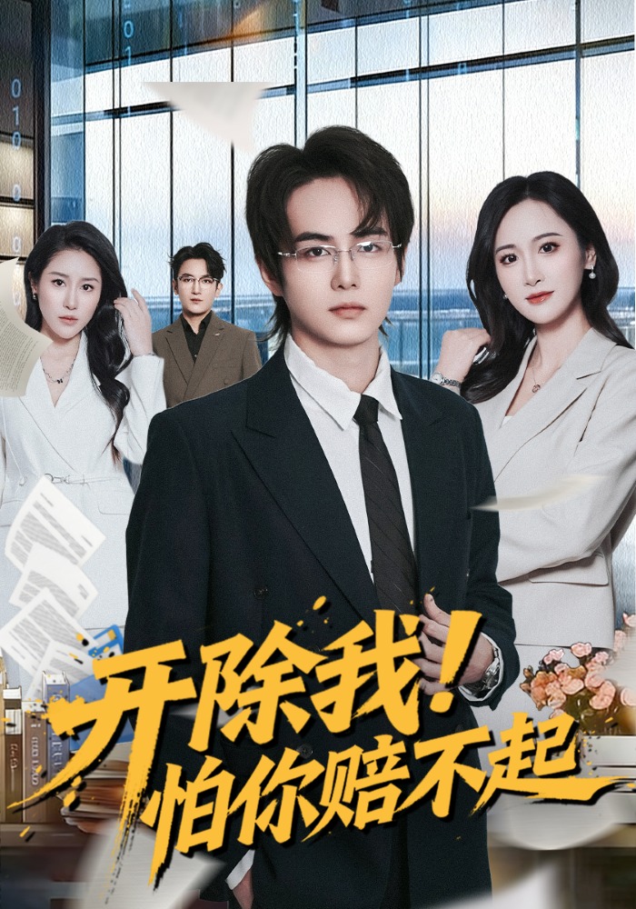开除我！怕你赔不起海报