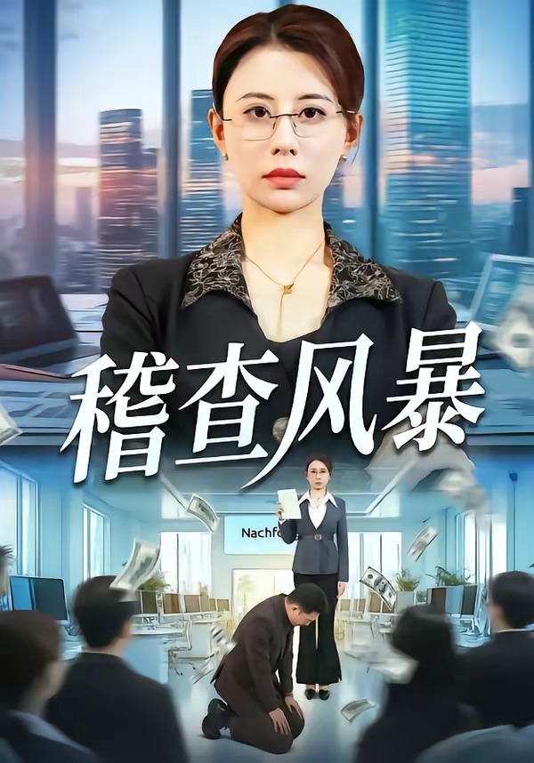 稽查风暴海报