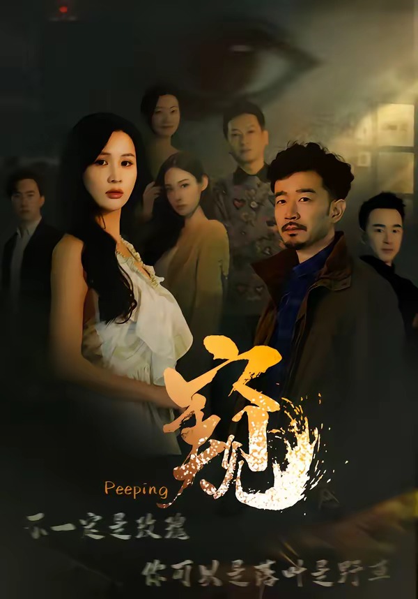 窥2026海报