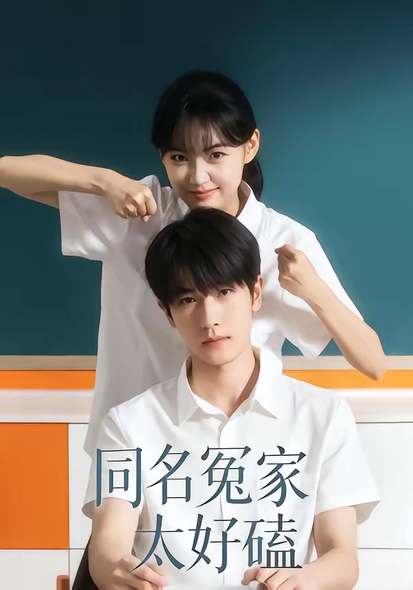 同名冤家太好磕海报