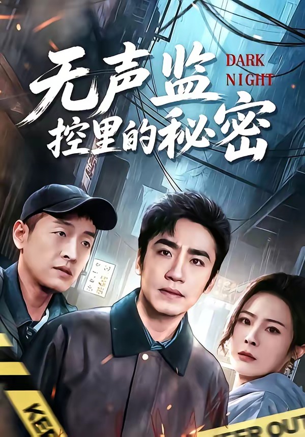 无声监控里的秘密海报