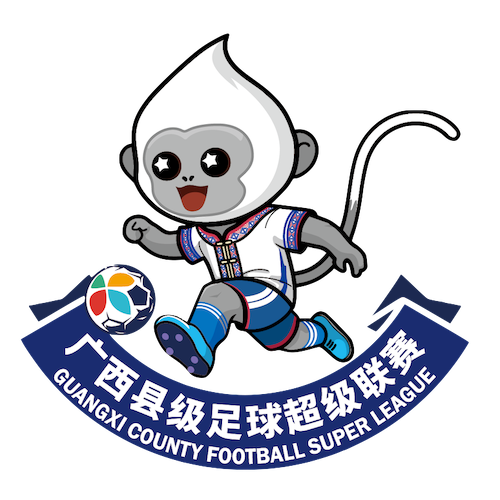 广西县超 崇左市龙州县队1-7崇左市凭祥市队20260425海报