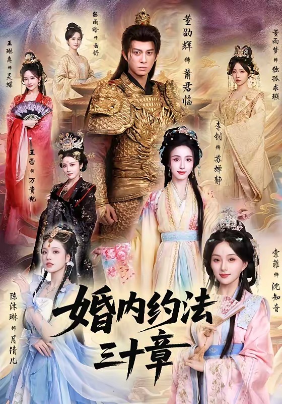 婚内约法三十章海报
