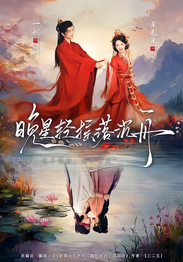 晚星轻摇落沉舟海报