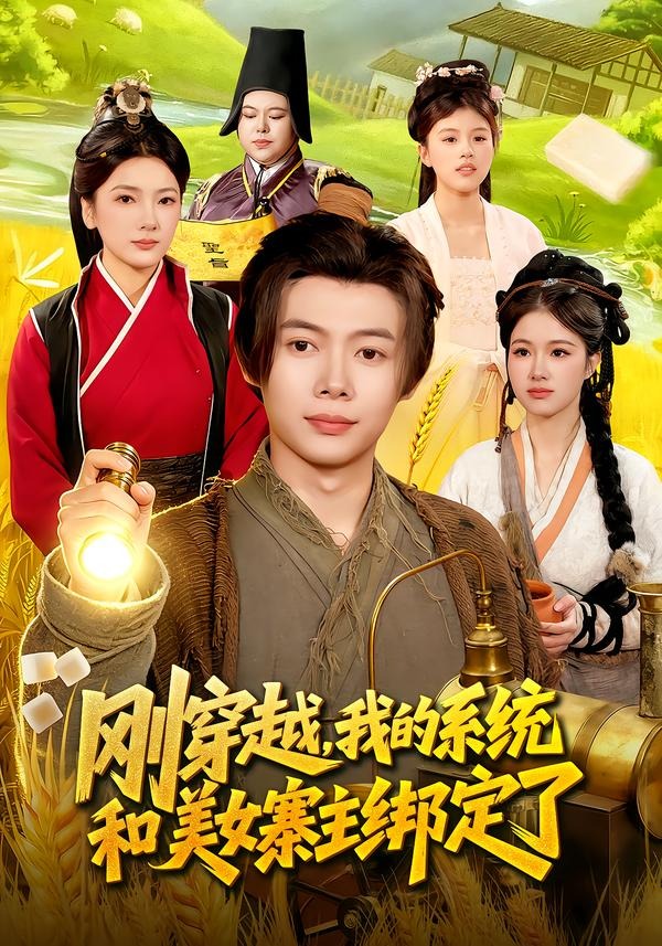 刚穿越，我的系统和美女寨主绑定了海报