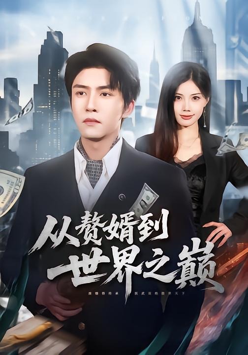 从赘婿到世界之巅海报