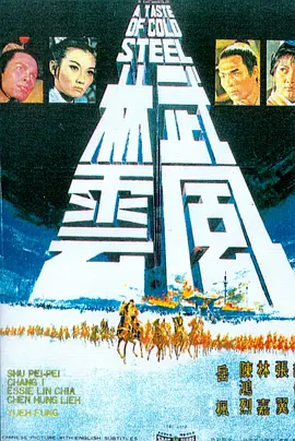 武林风云[电影解说]海报