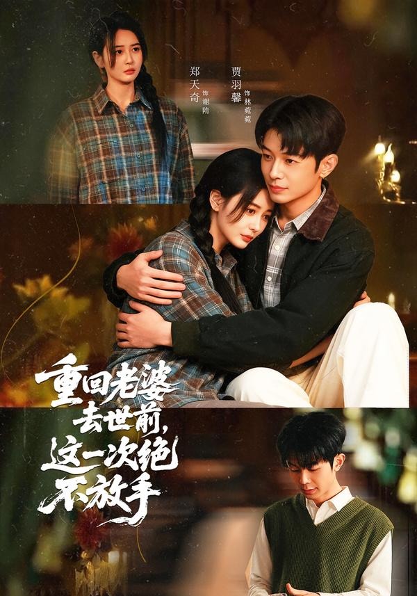 重回老婆去世前，这一次绝不放手海报