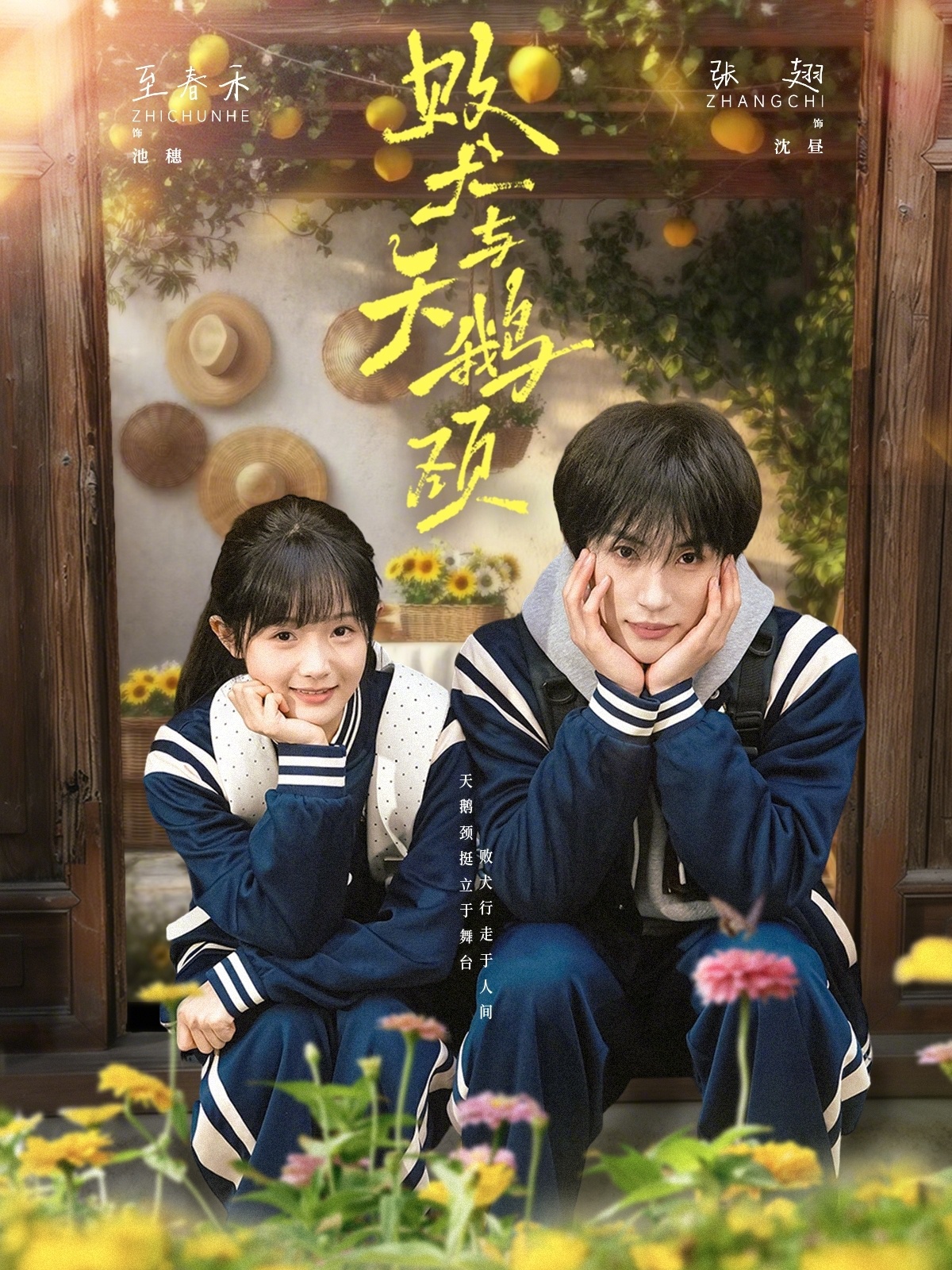 败犬与天鹅颈海报