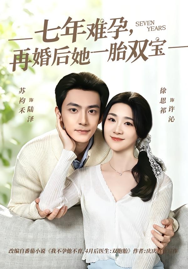 七年难孕，再婚后她一胎双宝海报