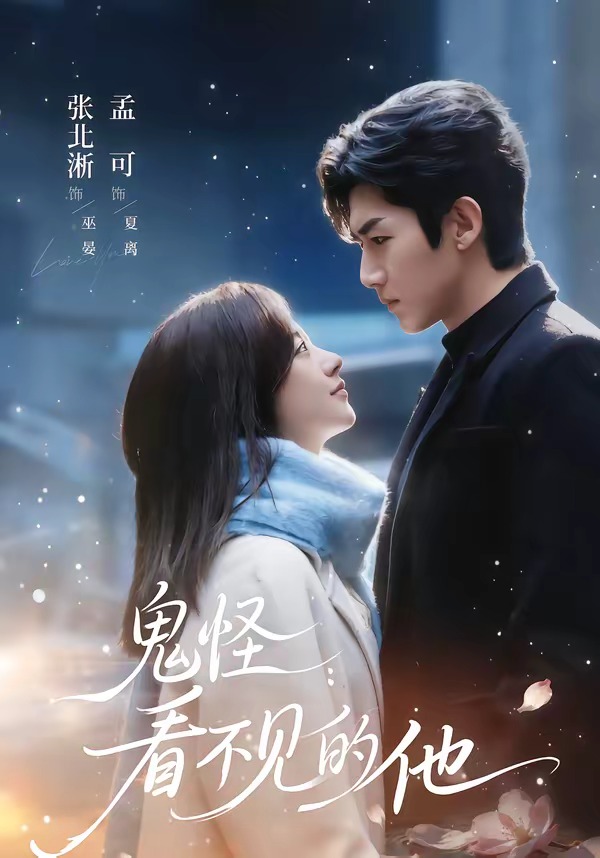鬼怪：看不见的他海报