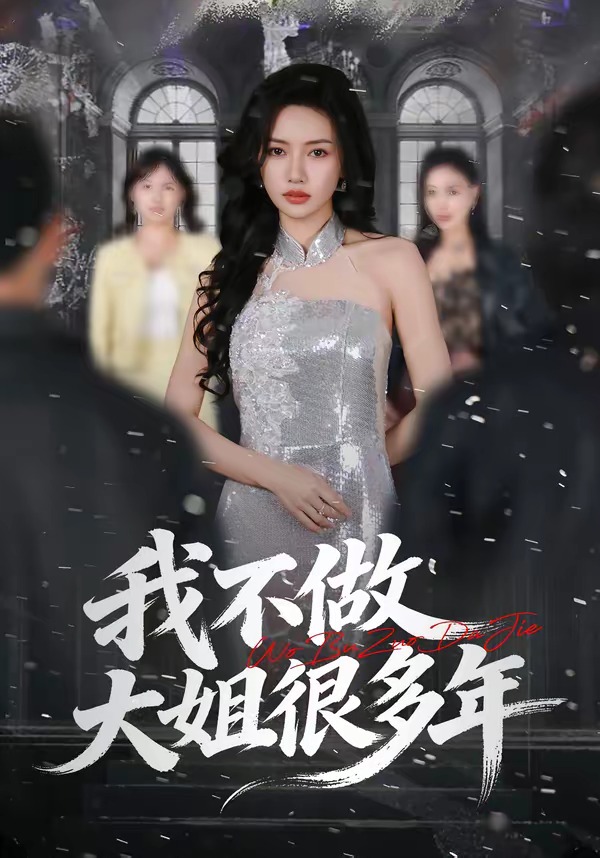 我不做大姐很多年海报
