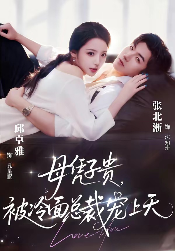 母凭子贵，被冷面总裁宠上天海报