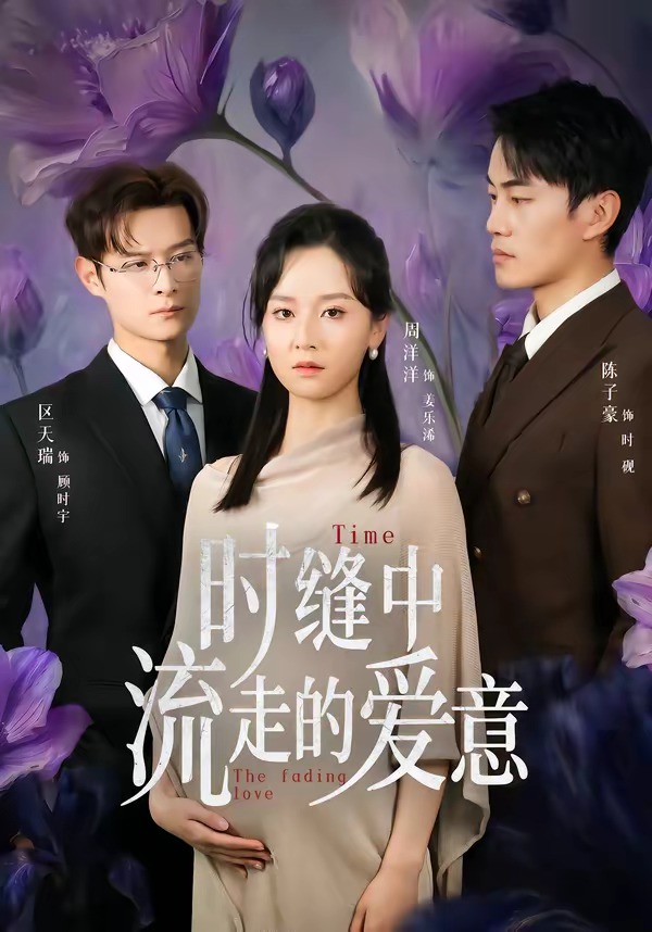时缝中流走的爱意海报