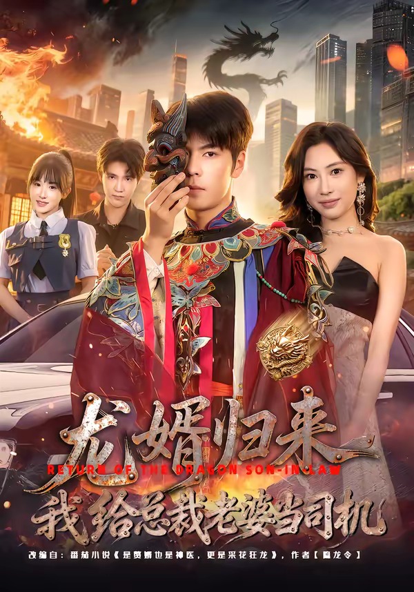 龙婿归来，我给总裁老婆当司机海报