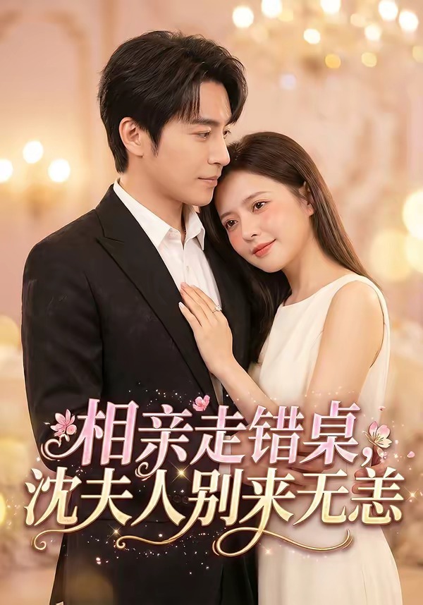 相亲走错桌，沈夫人别来无恙海报