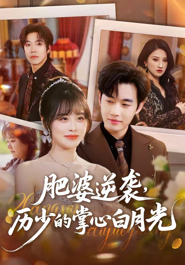 肥婆逆袭，历少的掌心白月光海报