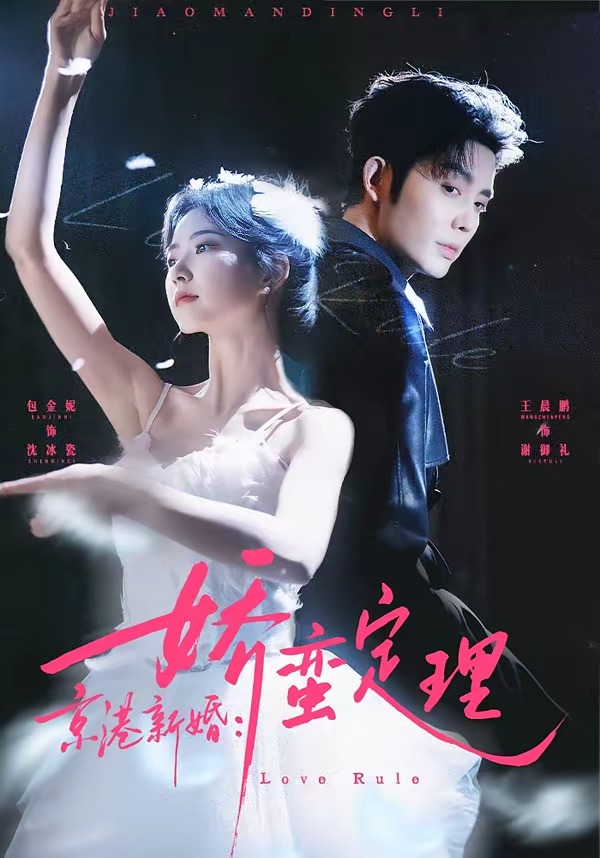 京港新婚：娇蛮定理海报